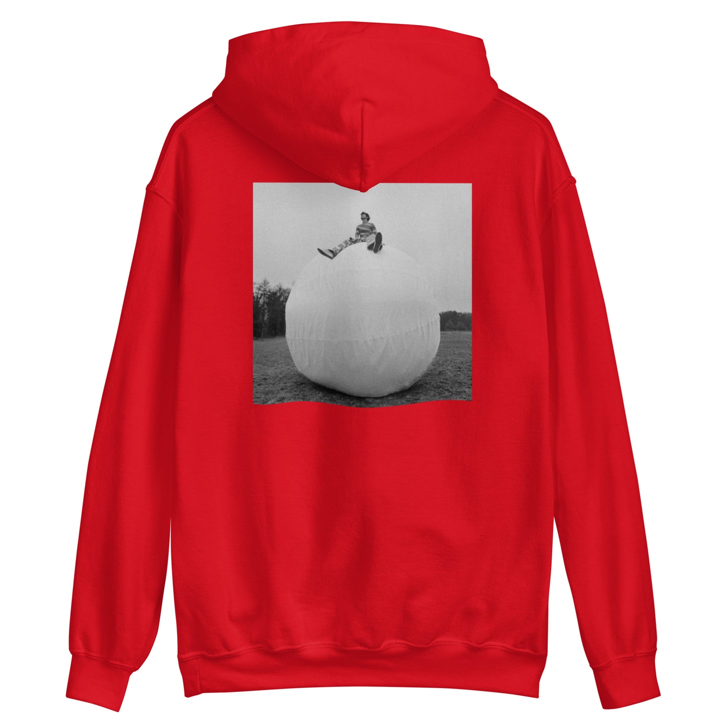 Harry Styles On Top Of The World Hoodie